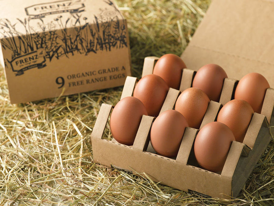 کارتن تخم مرغ با کیفیت | سام کارتن